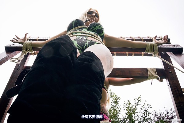 limitedaudience - 2014 demi jay elyssia double cross 2 第 17 张图片