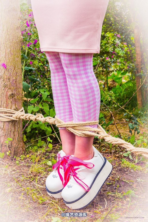 limitedaudience - 2015 kittysocks between trees 第 18 张图片