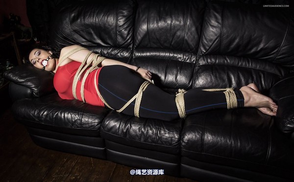 limitedaudience - 2015 anastasia bound on the couch 第 2 张图片
