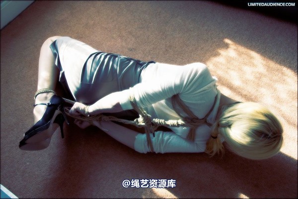 limitedaudience - 2008 ariel hogtied secretary 2 第 19 张图片