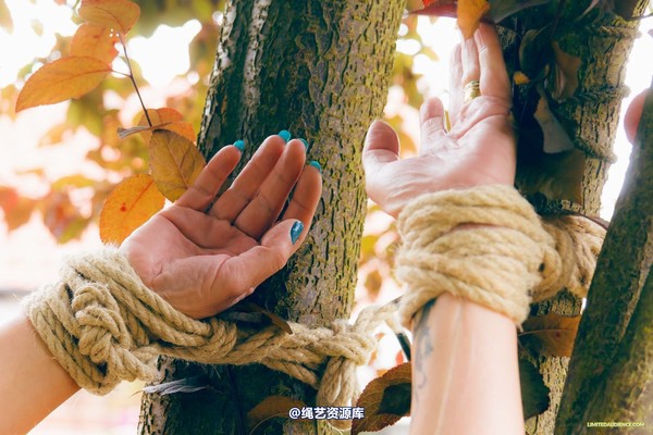 limitedaudience - 2015 kimmy louise up against a tree 2 第 25 张图片