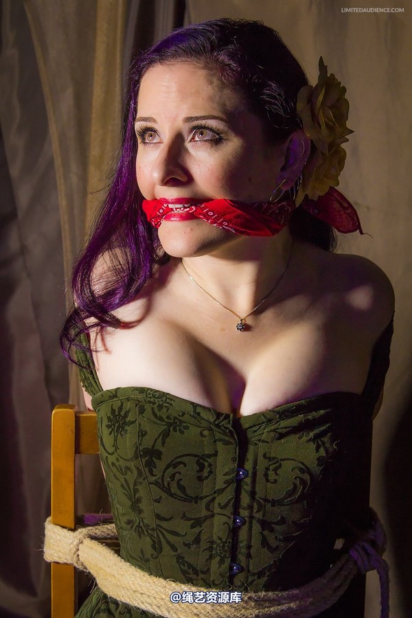 limitedaudience - 2014 caroline pierce captured damsel 2 第 14 张图片