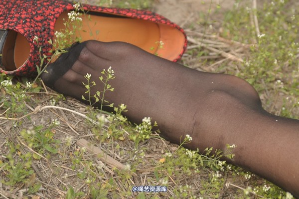 mj影视 - “蛇女”的归途2 第 267 张图片