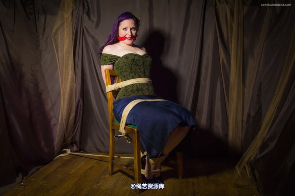 limitedaudience - 2014 caroline pierce captured damsel 2 第 2 张图片