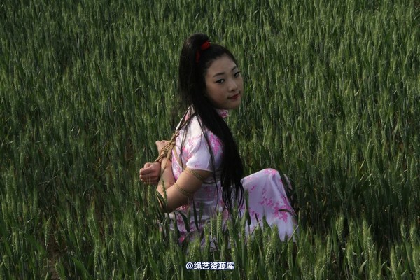 胜景山庄 - 151-麦田绳缚 第 29 张图片