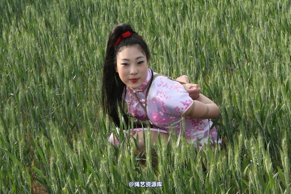 胜景山庄 - 151-麦田绳缚 第 24 张图片