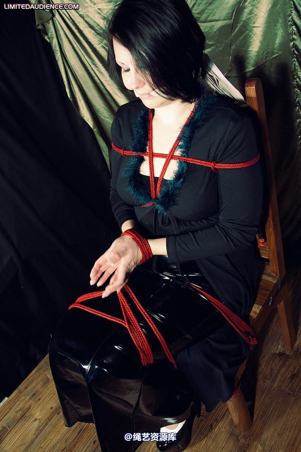 limitedaudience - 2010 deception helpless prisoner 2 第 32 张图片