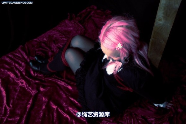 limitedaudience - 2009 assisted suicide taken 2 第 24 张图片