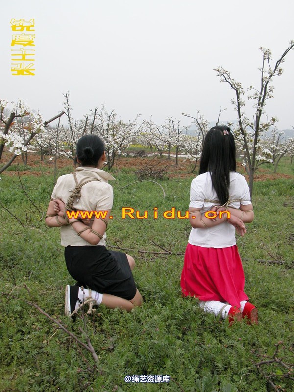 锐度主张 - 婷婷和寒冰梨花林中 第 44 张图片