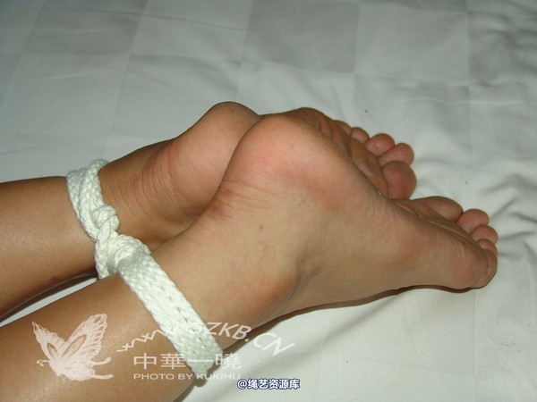 中华一晓 - 中华一晓 NO.0383 第 41 张图片
