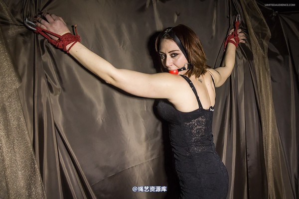 limitedaudience - 2014 ammalia up against the wall 第 1 张图片