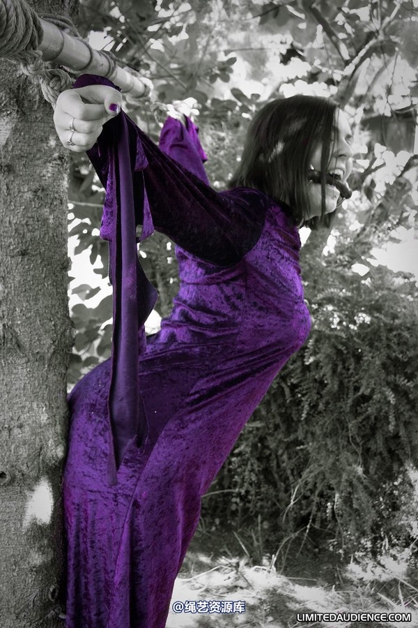 limitedaudience - 2011 carmina unwilling offering 2 第 23 张图片