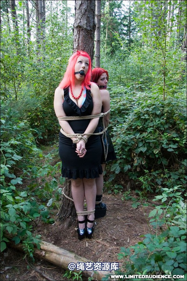 limitedaudience - 2007 asphyxia b nattsuko lost in the woods 第 37 张图片