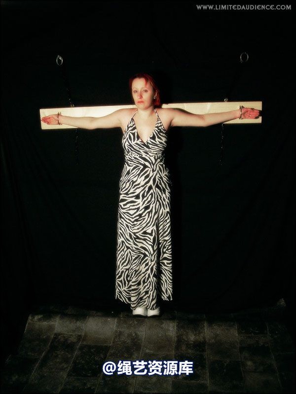limitedaudience - 2007 erin chained animal 第 3 张图片