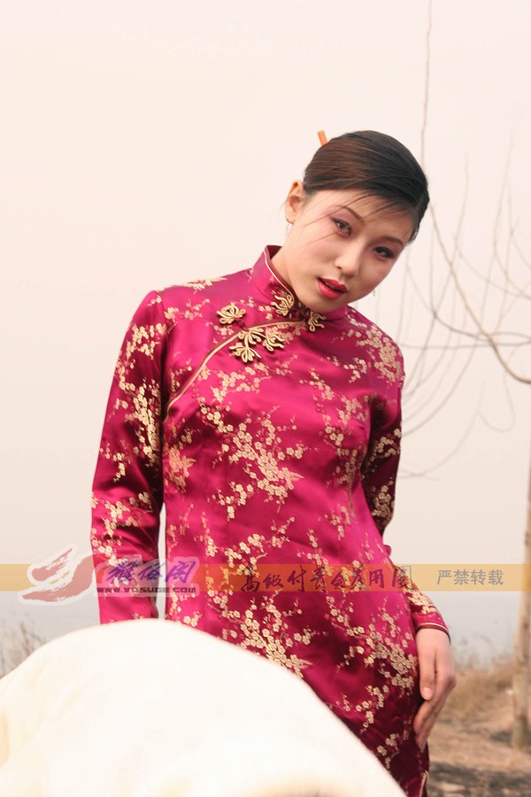 雅俗阁 - 20060331新太行采风---雪儿、雅柔旗袍合拍 第 2 张图片