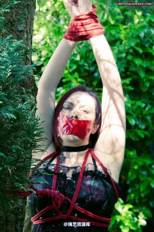 limitedaudience - 2011 carmina and the tree 3 第 27 张图片
