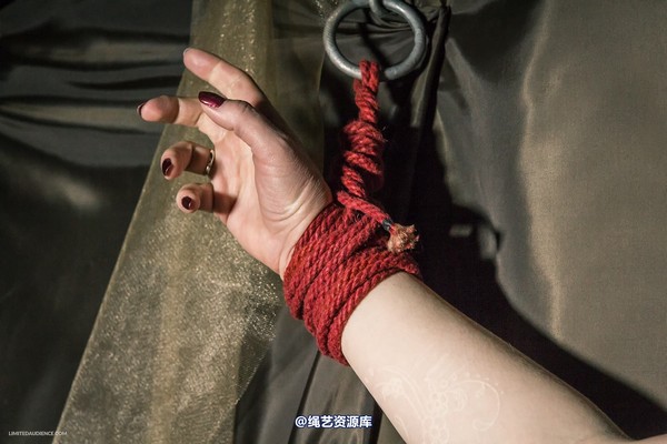limitedaudience - 2015 caroline pierce bondage in bronze 2 第 14 张图片