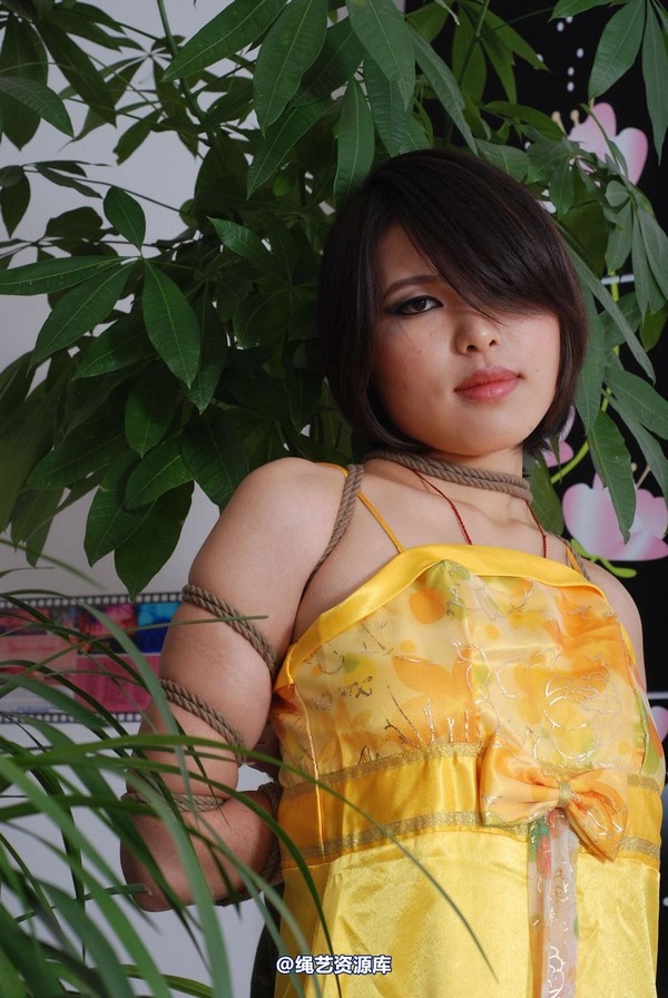 唯美之家 - 书兰-黄礼服 第 34 张图片