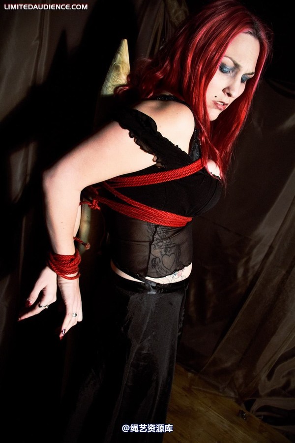 limitedaudience - 2010 elyssia bound to a pole 第 24 张图片