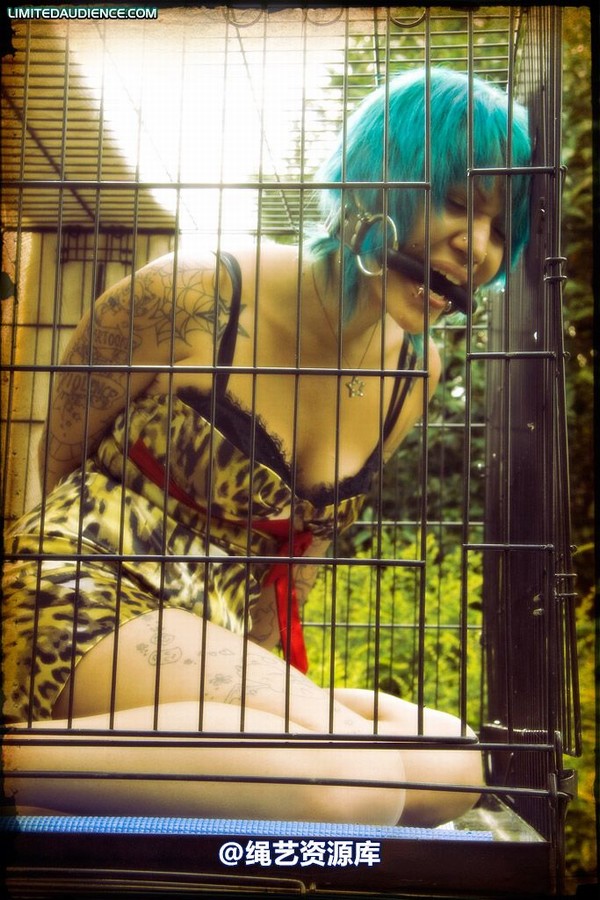 limitedaudience - 2009 b caged animal 第 36 张图片