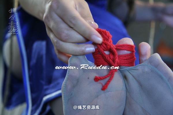 锐度主张 - 泡泡、孔雀谁坐老虎凳？ 第 107 张图片