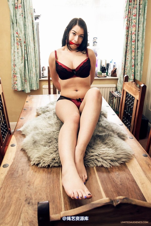 limitedaudience - 2013 stacey von table ties 2 第 1 张图片
