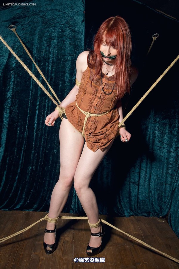 limitedaudience - 2013 syrah lee rope web 2 第 18 张图片