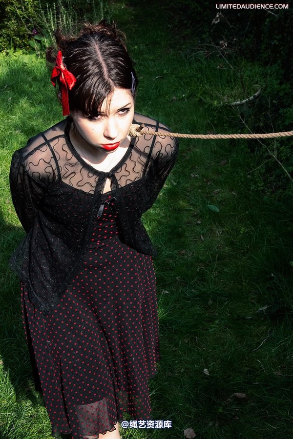 limitedaudience - 2010 dominick destruction sentenced and dragged 第 37 张图片