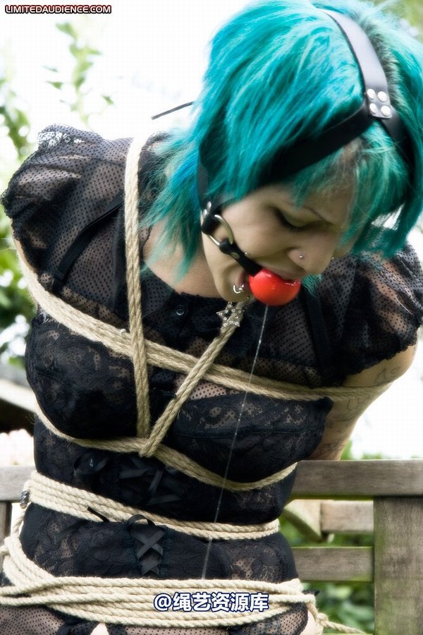 limitedaudience - 2009 b captive pixie 2 第 30 张图片