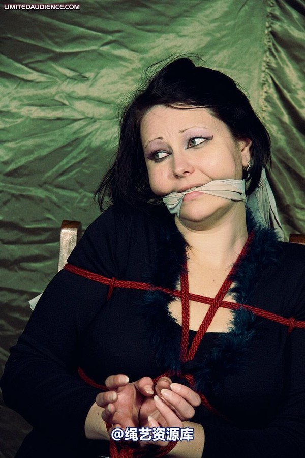 limitedaudience - 2009 deception helpless prisoner 第 17 张图片