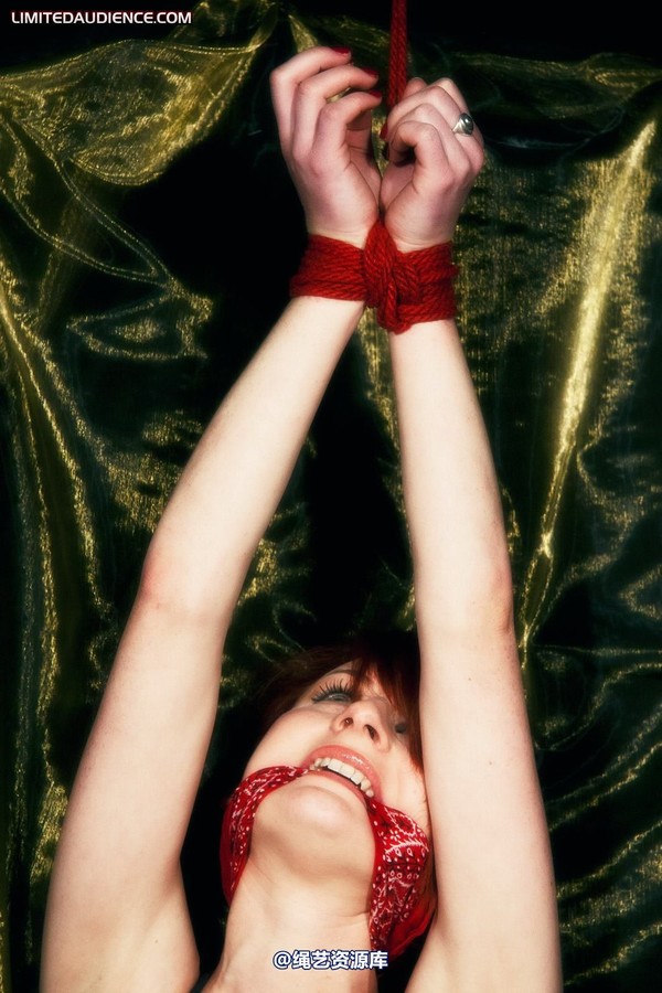 limitedaudience - 2011 madison rouge dangling helplessly 2 第 5 张图片