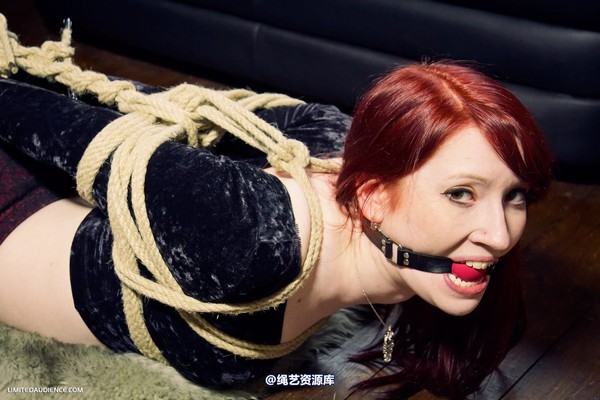 limitedaudience - 2012 syrah lee hogtied 第 19 张图片