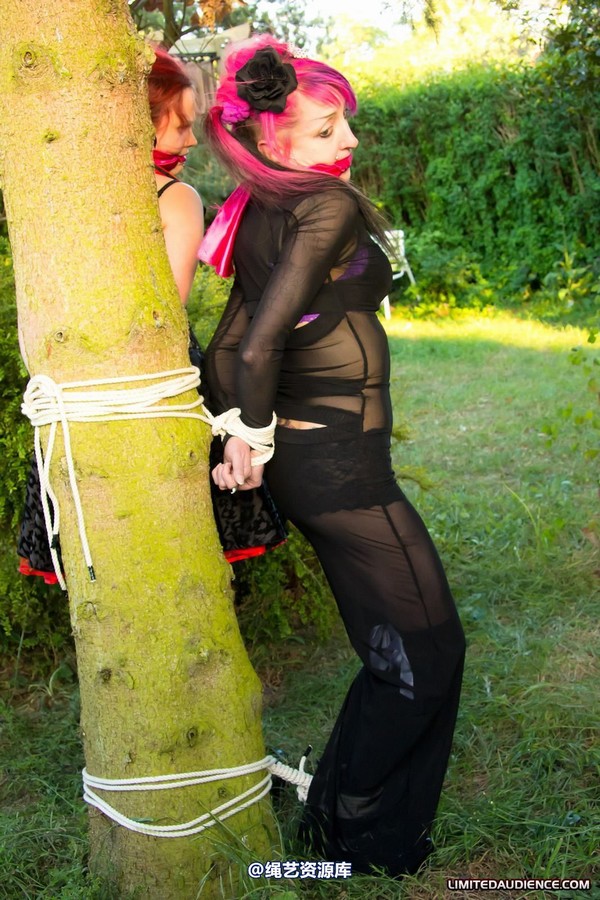 limitedaudience - 2011 beckykat loltaru moored to tree 第 14 张图片