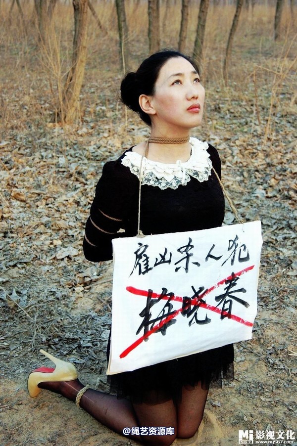 mj影视 - 惊天第一案－雇凶杀人犯梅晓春 第 85 张图片