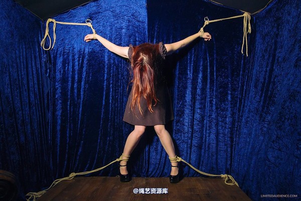 limitedaudience - 2013 ivory not what she meant 第 27 张图片
