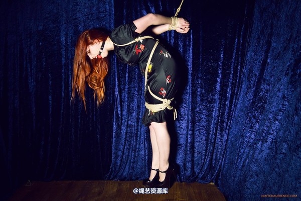 limitedaudience - 2013 ivory strappado 2 第 2 张图片