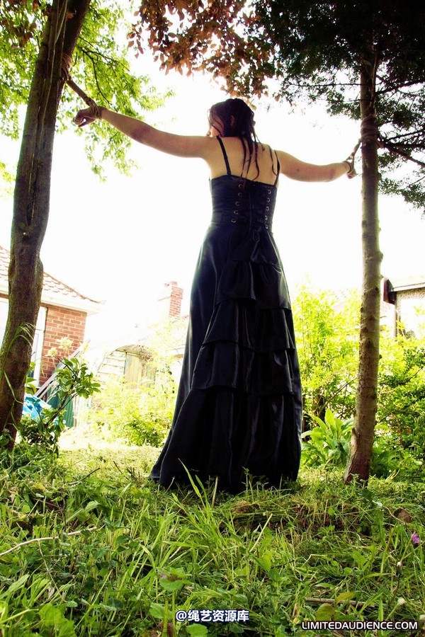 limitedaudience - 2011 beckykat between trees 2 第 23 张图片