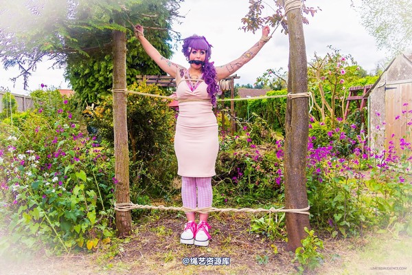 limitedaudience - 2015 kittysocks between trees 第 1 张图片