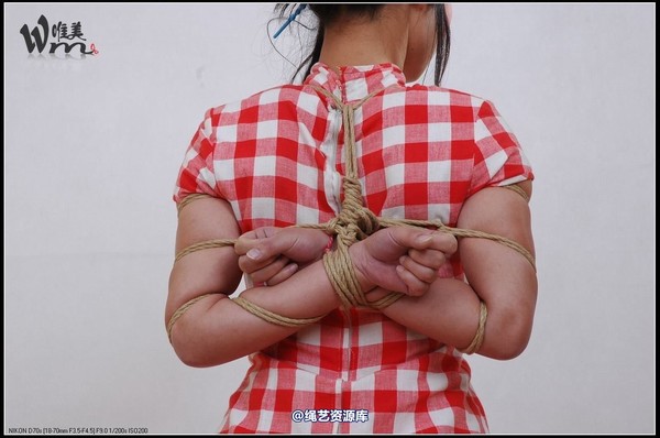 唯美之家 - 2008-11-24蝶依旗袍 第 7 张图片