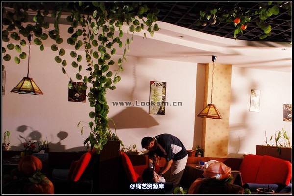 千丝万缕 - 2008-06-16日照片 第 55 张图片