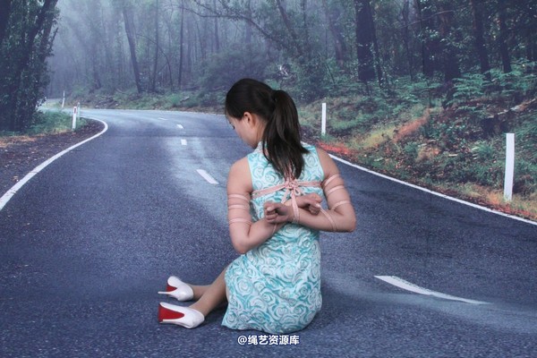 胜景山庄 - 142-马路上被捆住 第 27 张图片