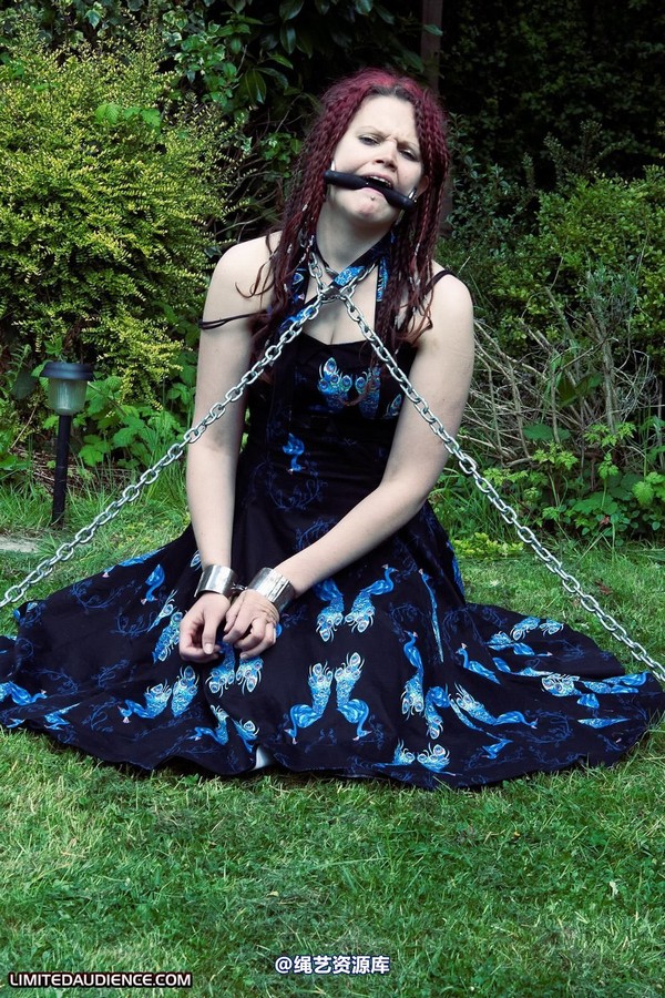 limitedaudience - 2010 beckykat chained and staked 第 5 张图片