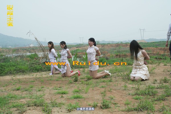 锐度主张 - 4月8日网友聚会室外篇3 第 80 张图片