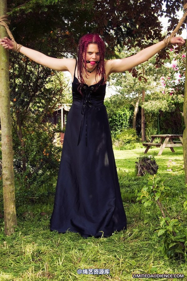 limitedaudience - 2010 beckykat between trees 第 9 张图片