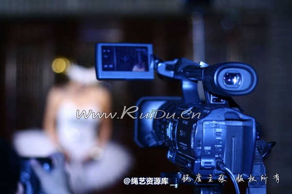 锐度主张 - 镣铐芭蕾叶子 第 44 张图片