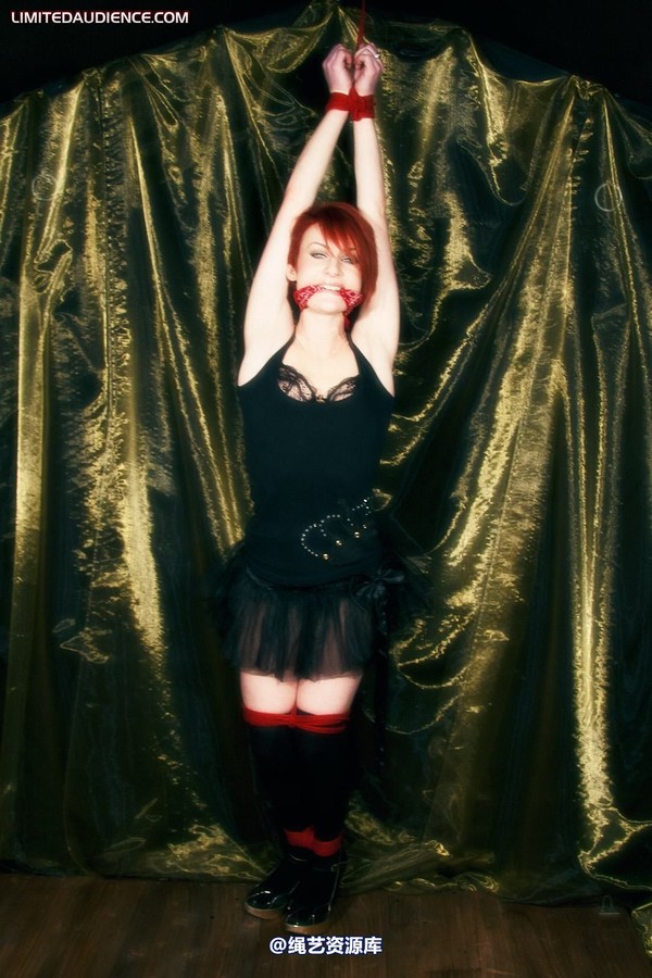limitedaudience - 2011 madison rouge dangling helplessly 2 第 16 张图片