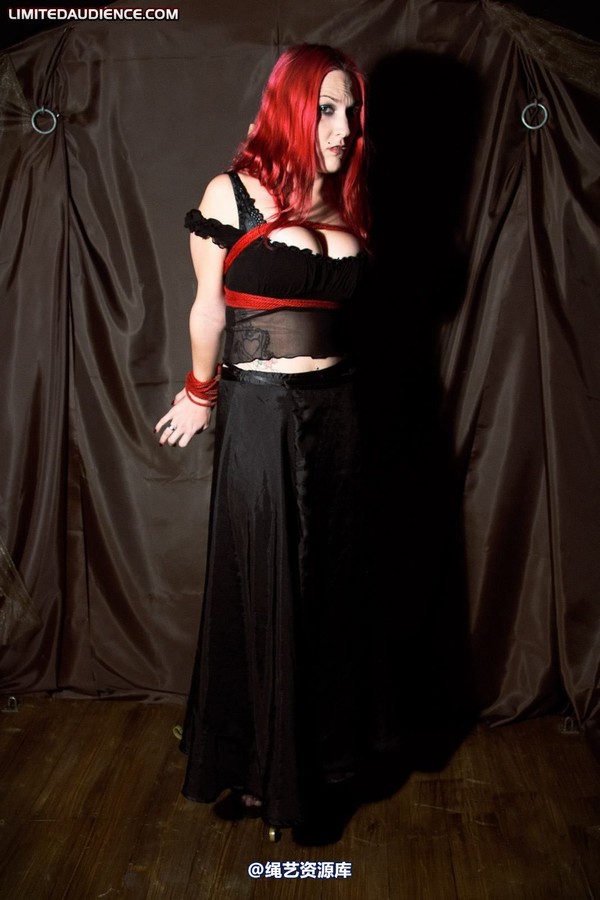 limitedaudience - 2010 elyssia bound to a pole 第 23 张图片