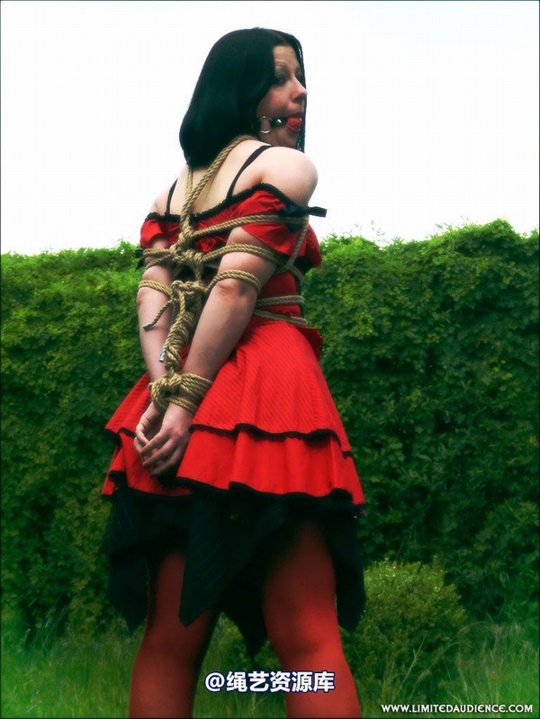 limitedaudience - 2007 asphyxia tied in red 第 18 张图片