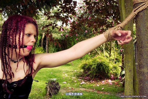 limitedaudience - 2011 beckykat between trees 2 第 8 张图片
