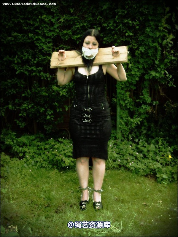limitedaudience - 2007 asphyxia silenced secretary 第 3 张图片
